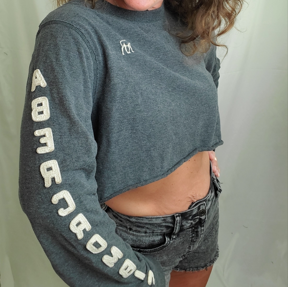 Abercrombie & Fitch cropped gray long sleeved muscle tee